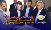 تولید ۲۵۰۰ تن بذر هیبرید ذرت در شرکت ملی کشت و صنعت و دامپروری پارس در سال ۱۴۰۴