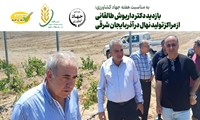 بازدید رئیس موسسه تحقیقات ثبت و گواهی بذر و نهال از مراکز تولید نهال در آذربایجان شرقی