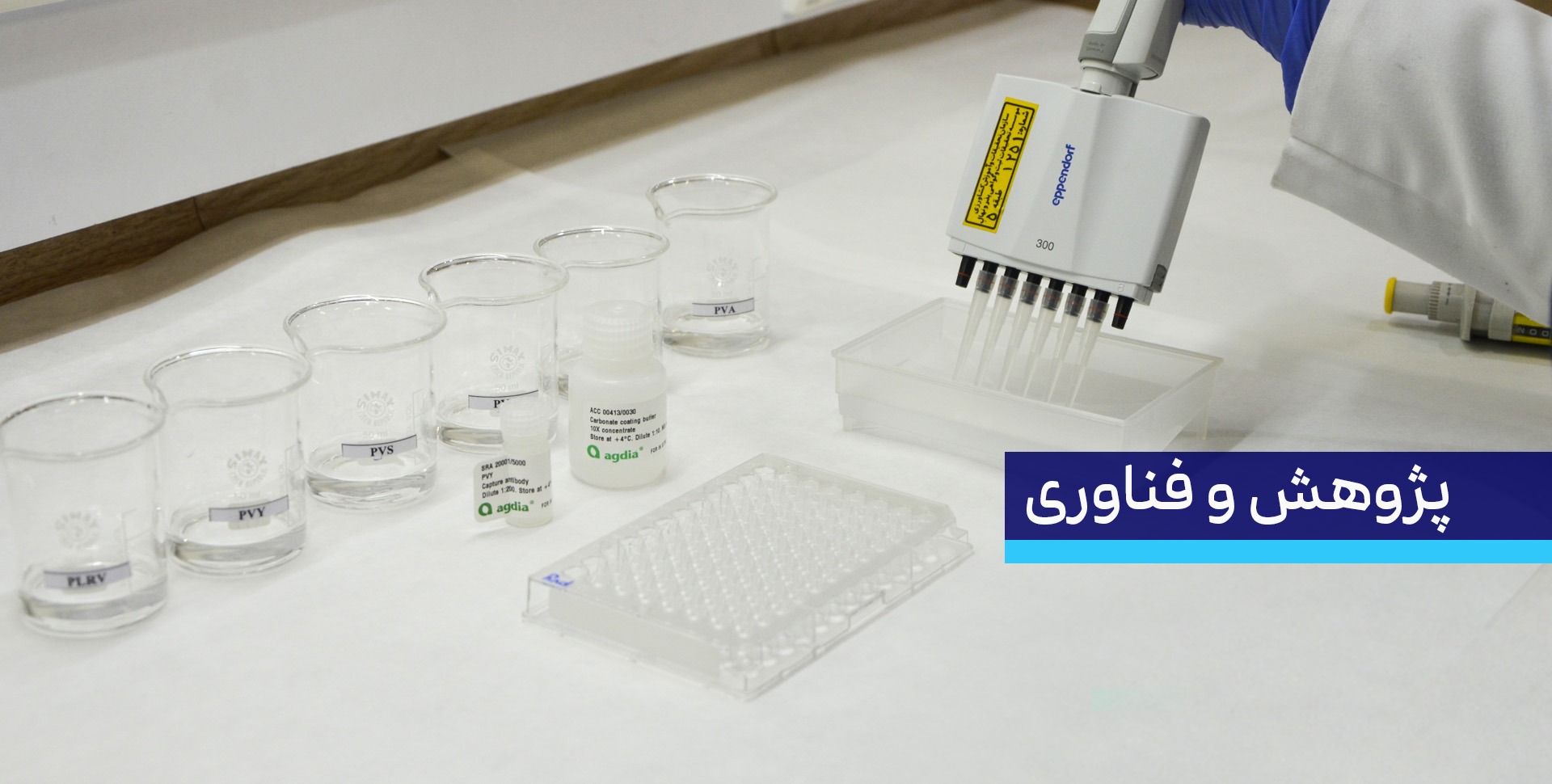 معاونت پژوهش، فناوری و انتقال یافته ها